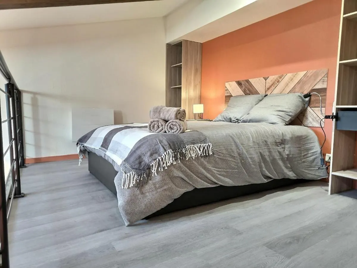 Apartamento Le Coquelicot - Hyper-Centre - Wifi - Calme Albi